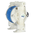 FTI Air Model FT05 PVDF 1/2 in. Non-Metallic Diaphragm Pump